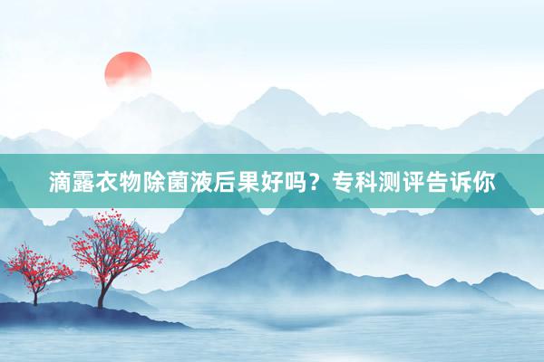滴露衣物除菌液后果好吗？专科测评告诉你