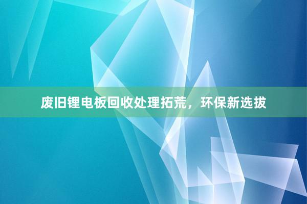 废旧锂电板回收处理拓荒，环保新选拔